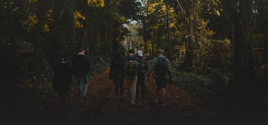 Live adult cams and interactive experiences